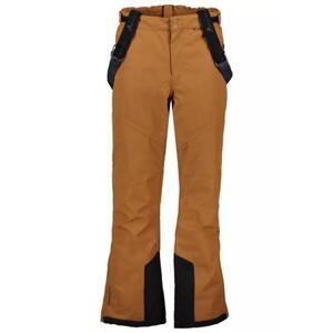 Whistler Pánské lyžařské kalhoty Drizzle M Ski Pant W-Pro 10000 rubber L