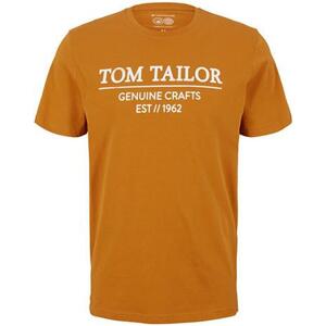 Tom Tailor Pánské triko Regular Fit 1021229.10821 S