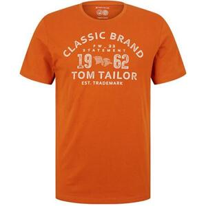 Tom Tailor Pánské triko Regular Fit 1032905.19772 S