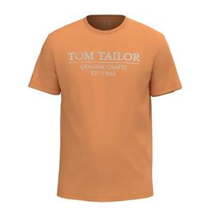 Tom Tailor Pánské triko Regular Fit 1021229.22225 L