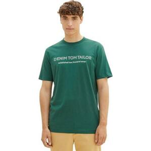 Tom Tailor Pánské triko Regular Fit 1037683.10778 L