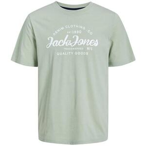Jack&Jones Pánské triko JJFOREST Standard Fit 12247972 Desert Sage XXL