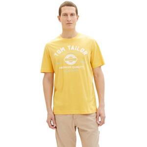 Tom Tailor Pánské triko Regular Fit 1037735.34663 3XL, XXXL