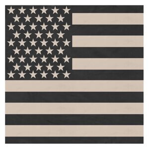 ROTHCO Šátek 68 x 68 cm JUMBO vlajka USA SUBDUED
