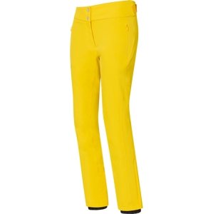Descente Dámské lyžařské kalhoty Giselle Insulated Pants - WBY XS