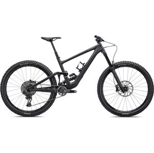 Specialized Enduro Expert - obsidian/taupe S2
